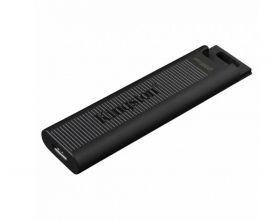 Флешка USB 2.0 Kingston DataTraveler MAX Type-A 256Gb