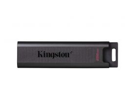 Флешка USB 2.0 Kingston DataTraveler MAX Type-C 256Gb