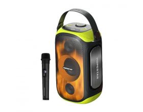 Портативная беспроводная колонка HOPESTAR PARTY 300 80W