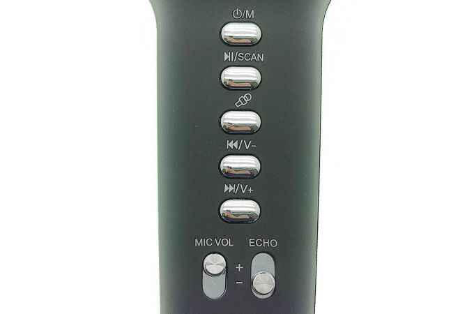 Караоке микрофон WSTER WS-900  беспроводной (Bluetooth, динамики, USB) (черный)