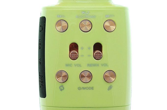 Караоке микрофон WSTER WS-2011 (Bluetooth, динамики, USB) беспроводной (зеленый)