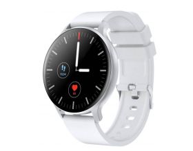 Умные часы Canyon SW-68, серебристый (CNS-SW68SS)