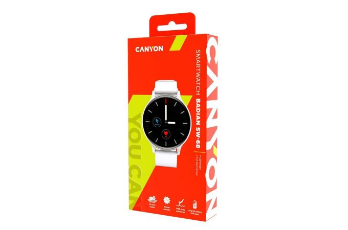 Умные часы Canyon SW-68, серебристый (CNS-SW68SS)