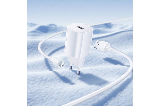 Сетевое зарядное устройство USB-C + кабель Lightning - USB BOROFONE BA101A Pudding (белый)