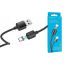 Кабель USB - USB Type-C BOROFONE BX57, 3A (черный) 1м (магнитный)