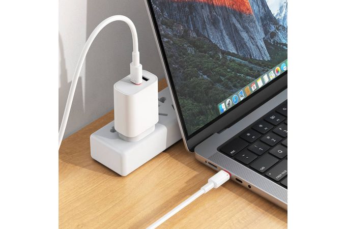 Кабель USB Type-C - USB Type-C BOROFONE BX110 Beneficio 60W (белый)