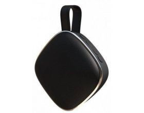 Портативная беспроводная колонка Ritmix SP-150B (черный)