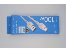 Кабель USB - USB Type-C BOROFONE BX93 100W (белый) 1м (УЦЕНКА! МЯТАЯ УПАКОВКА)