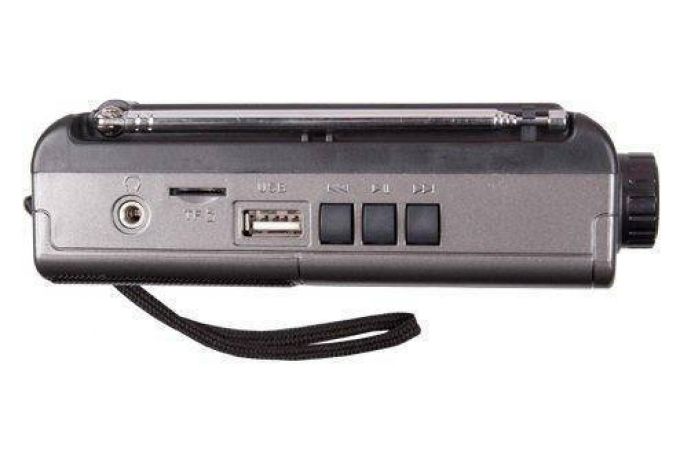 Радиоприемник Ritmix RPR-151