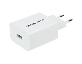 Сетевое зарядное устройство USB Орбита OT-APU31 5В, 2400mA (белый)