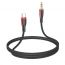 Кабель аудио BOROFONE BL14 (штекер Type-C - штекер AUX) Digital audio conversion cable (белый)