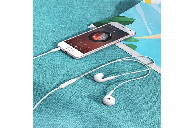 Наушники вакуумные проводные BOROFONE BM100 Max Fuente (черный)