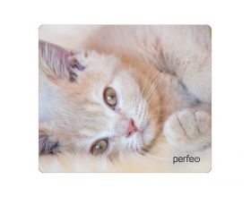 Коврик для мышки Perfeo "Cat", Рис.4 (350*300*3 мм), ткань+резиновое основание
