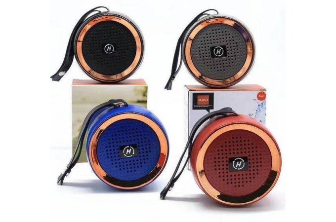 Портативная беспроводная колонка Орбита OT-SPB32 (H-813) BT