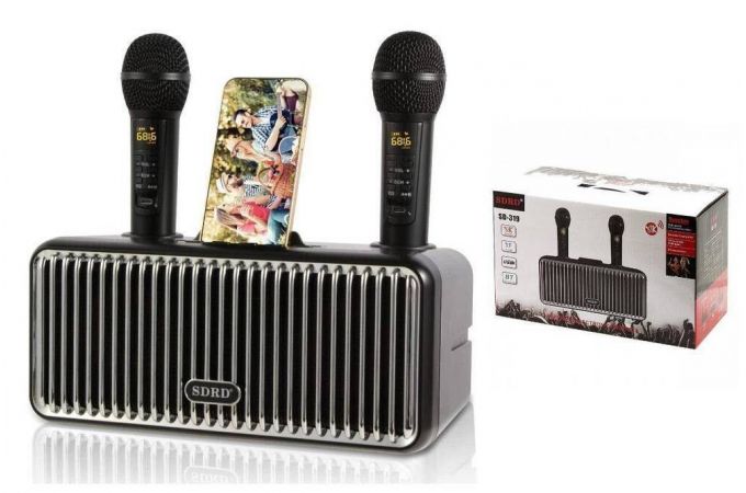 Караоке система SDRD SD-319 Черная