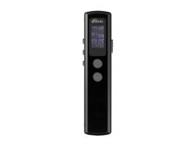 Диктофон Ritmix RR-120 (4Gb) black Моно, Li-Ion, MP3, сегментный дисплей