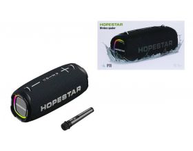 Портативная беспроводная колонка HOPESTAR A6 MAX